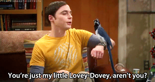 To be lovey-dovey